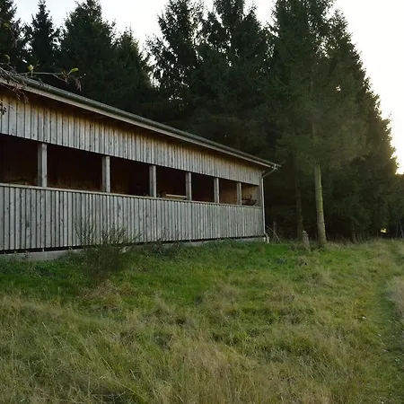 Eifelhaus4you * Gemünd