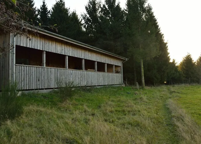 Eifelhaus4you * Gemünd