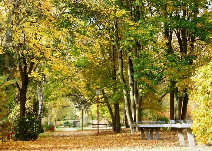 Eifelhaus4you Casa vacanze